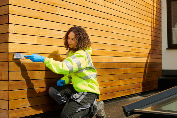 Best Insulated Siding Installation  in Anza, CA